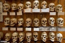 The Mütter Museum at The College of Physicians of Philadelphia 1 index 3